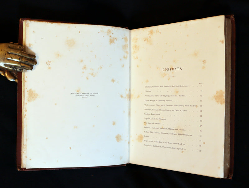 1860 Rare First Edition - Common Wayside Flowers by Thomas Miller & Color Illustrated by Birket Foster.