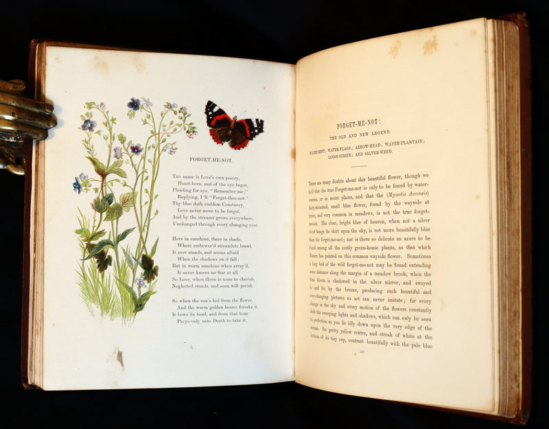 1860 Rare First Edition - Common Wayside Flowers by Thomas Miller & Color Illustrated by Birket Foster.