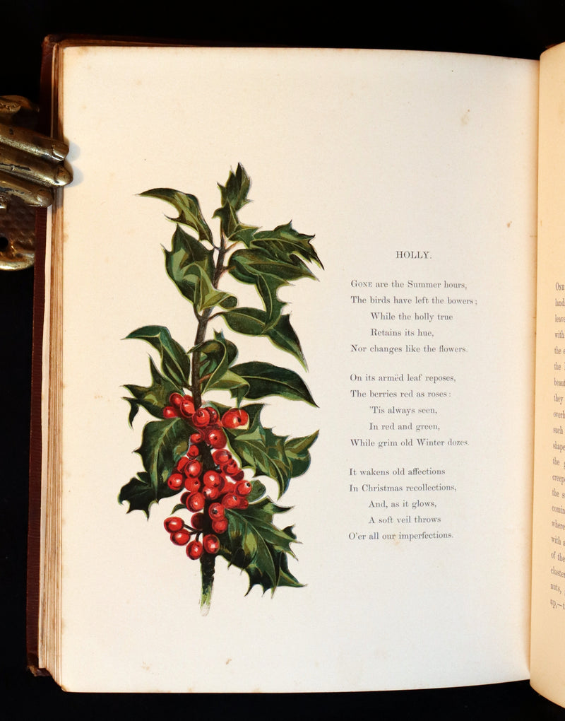 1860 Rare First Edition - Common Wayside Flowers by Thomas Miller & Color Illustrated by Birket Foster.