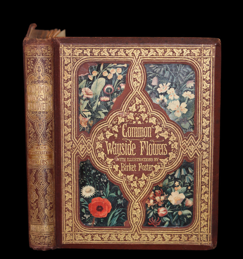 1860 Rare First Edition - Common Wayside Flowers by Thomas Miller & Color Illustrated by Birket Foster.