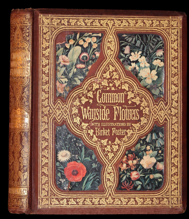 1860 Rare First Edition - Common Wayside Flowers by Thomas Miller & Color Illustrated by Birket Foster.
