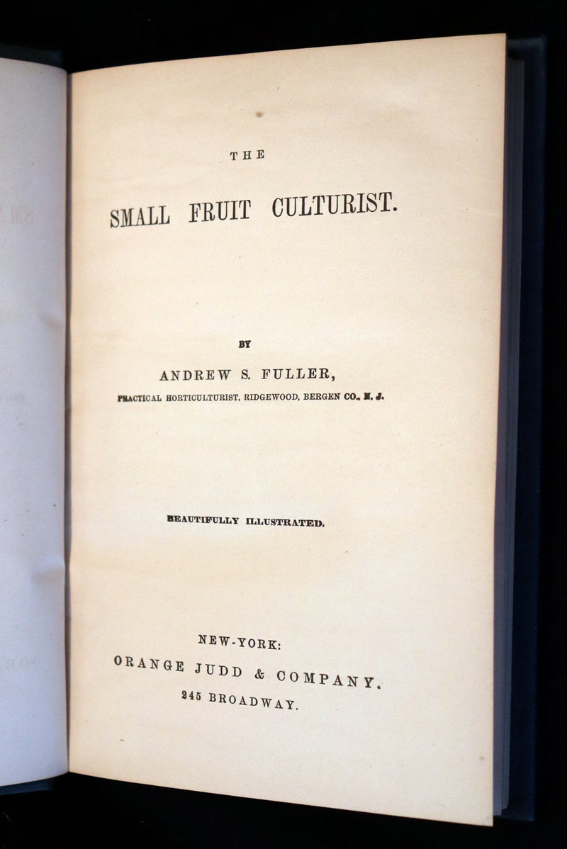 1867 Rare Victorian Gardening Book - The Small Fruit Culturist (Strawberry, Raspberry, Blackberry, Cranberry, ...). 1stED.