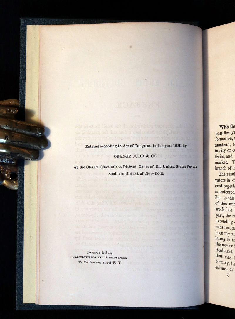 1867 Rare Victorian Gardening Book - The Small Fruit Culturist (Strawberry, Raspberry, Blackberry, Cranberry, ...). 1stED.