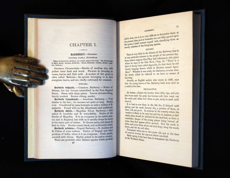 1867 Rare Victorian Gardening Book - The Small Fruit Culturist (Strawberry, Raspberry, Blackberry, Cranberry, ...). 1stED.