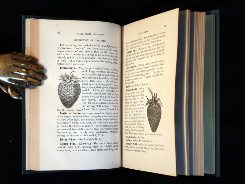 1867 Rare Victorian Gardening Book - The Small Fruit Culturist (Strawberry, Raspberry, Blackberry, Cranberry, ...). 1stED.