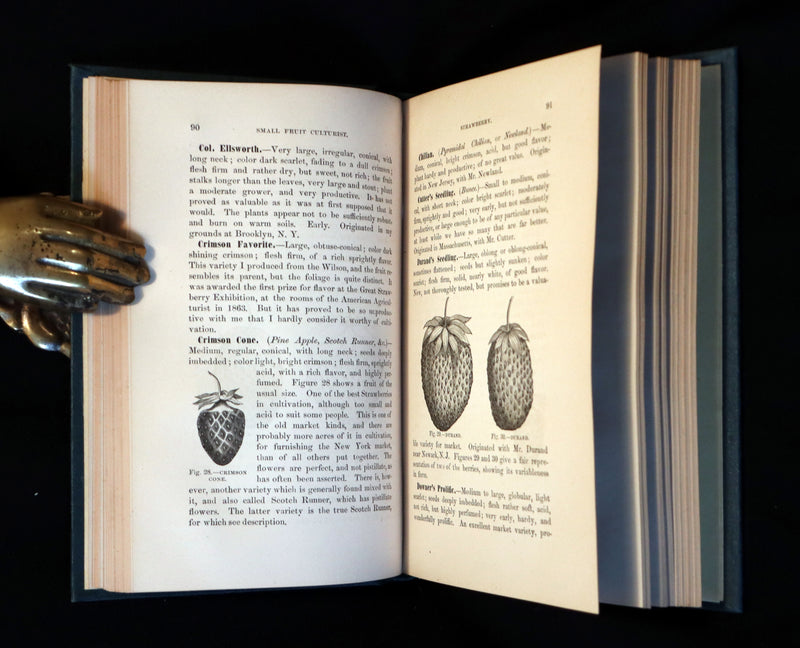 1867 Rare Victorian Gardening Book - The Small Fruit Culturist (Strawberry, Raspberry, Blackberry, Cranberry, ...). 1stED.