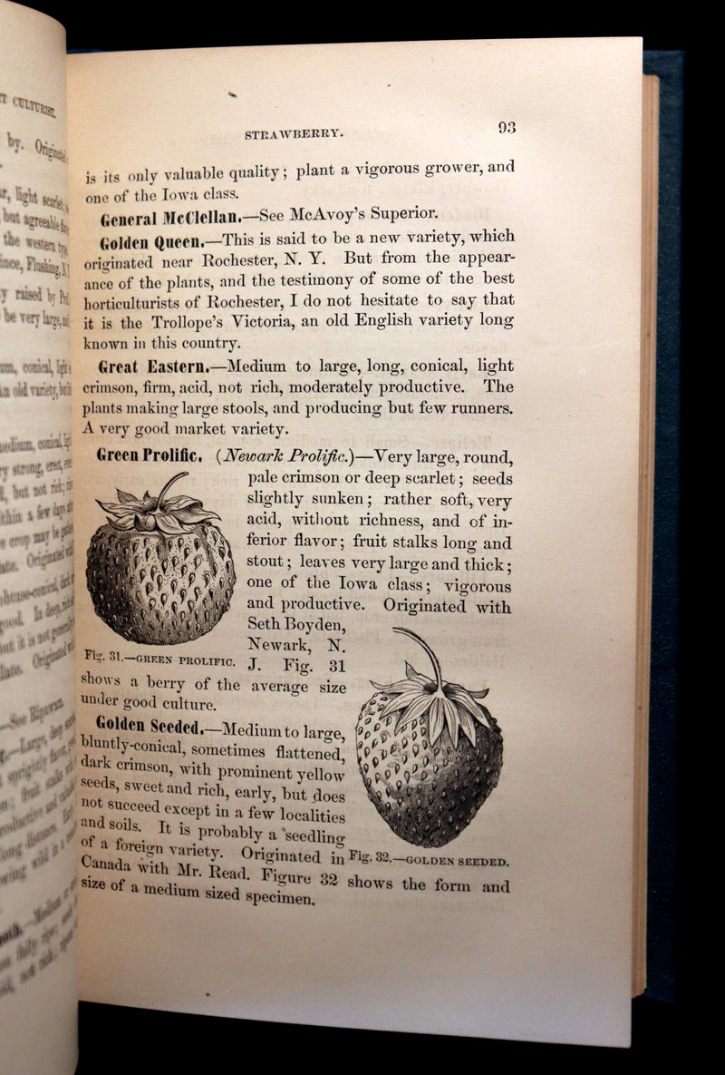 1867 Rare Victorian Gardening Book - The Small Fruit Culturist (Strawberry, Raspberry, Blackberry, Cranberry, ...). 1stED.