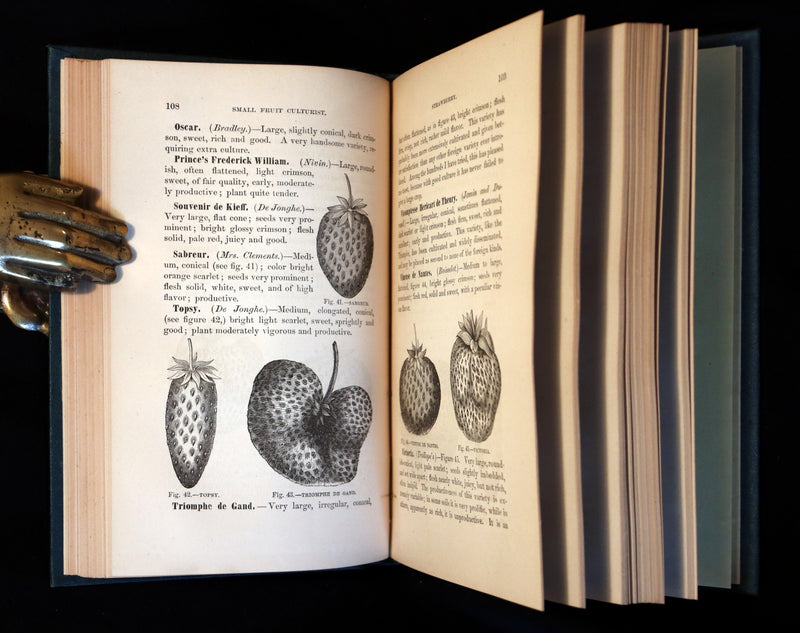1867 Rare Victorian Gardening Book - The Small Fruit Culturist (Strawberry, Raspberry, Blackberry, Cranberry, ...). 1stED.