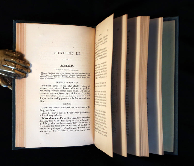1867 Rare Victorian Gardening Book - The Small Fruit Culturist (Strawberry, Raspberry, Blackberry, Cranberry, ...). 1stED.
