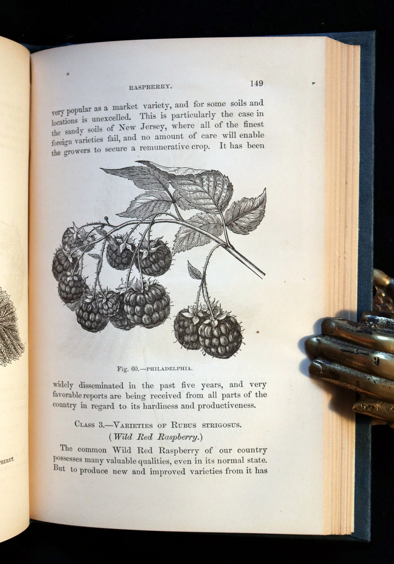 1867 Rare Victorian Gardening Book - The Small Fruit Culturist (Strawberry, Raspberry, Blackberry, Cranberry, ...). 1stED.