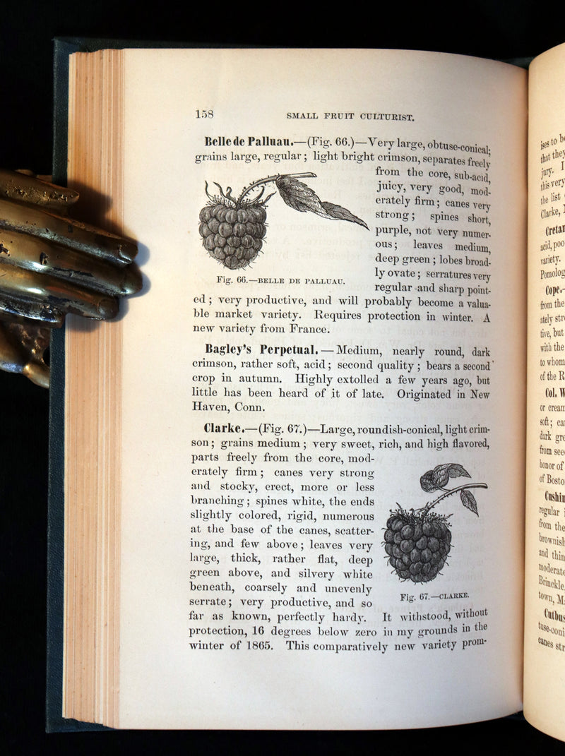 1867 Rare Victorian Gardening Book - The Small Fruit Culturist (Strawberry, Raspberry, Blackberry, Cranberry, ...). 1stED.