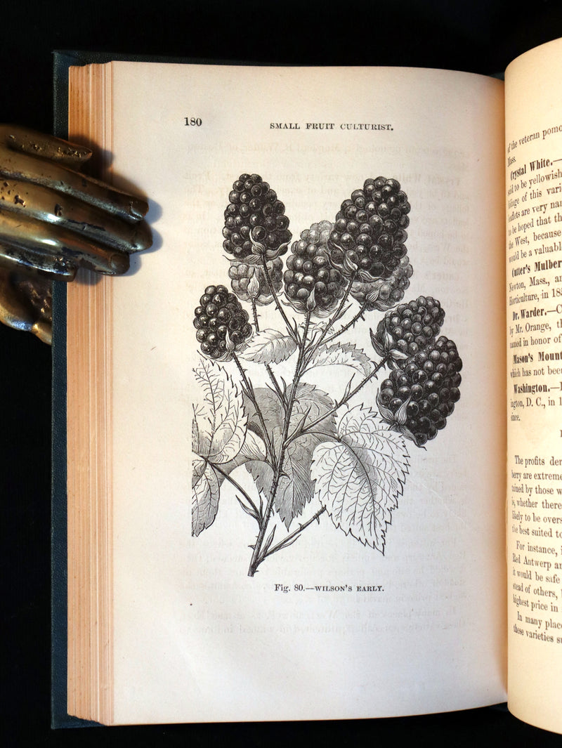 1867 Rare Victorian Gardening Book - The Small Fruit Culturist (Strawberry, Raspberry, Blackberry, Cranberry, ...). 1stED.