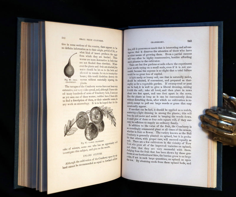1867 Rare Victorian Gardening Book - The Small Fruit Culturist (Strawberry, Raspberry, Blackberry, Cranberry, ...). 1stED.