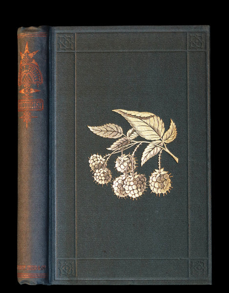 1867 Rare Victorian Gardening Book - The Small Fruit Culturist (Strawberry, Raspberry, Blackberry, Cranberry, ...). 1stED.
