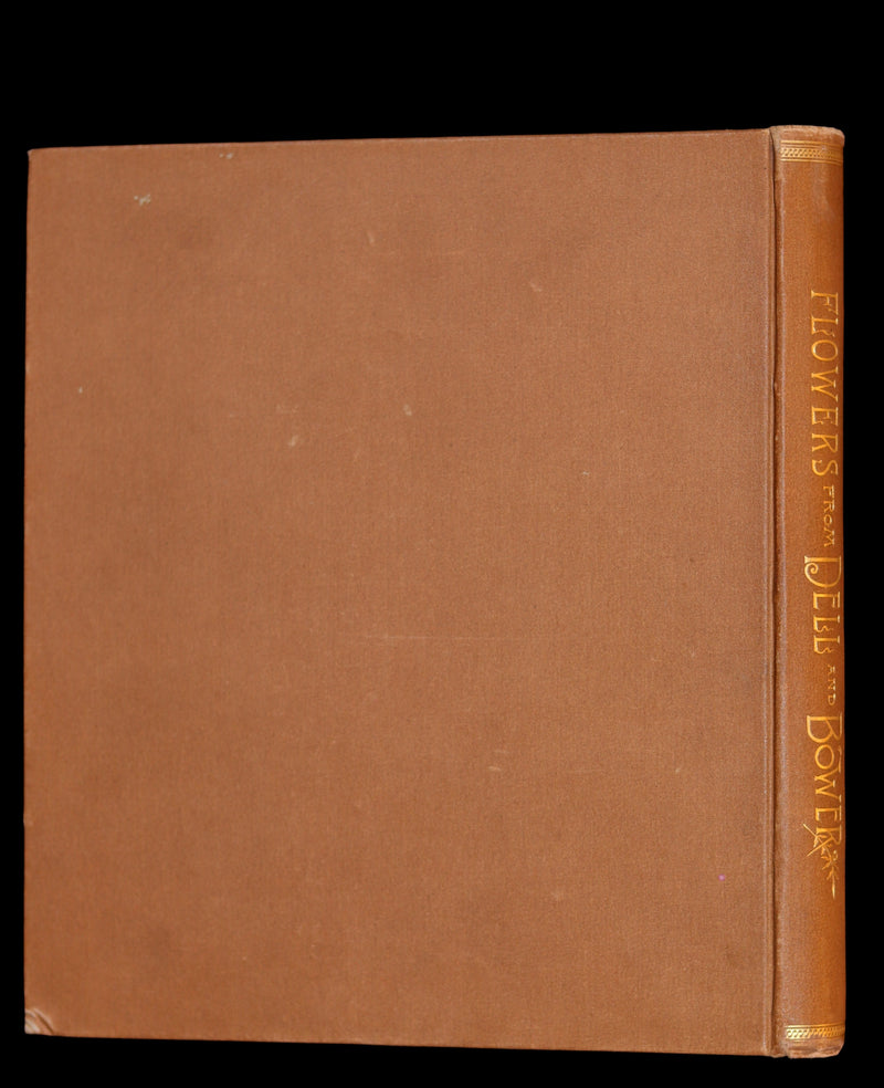 1886 Rare Victorian 1stED - FLOWERS FROM DELL AND BOWER, Poems Illustrated by Susie Barstow Skelding.