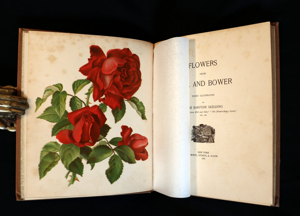 1886 Rare Victorian 1stED - FLOWERS FROM DELL AND BOWER, Poems Illustrated by Susie Barstow Skelding.