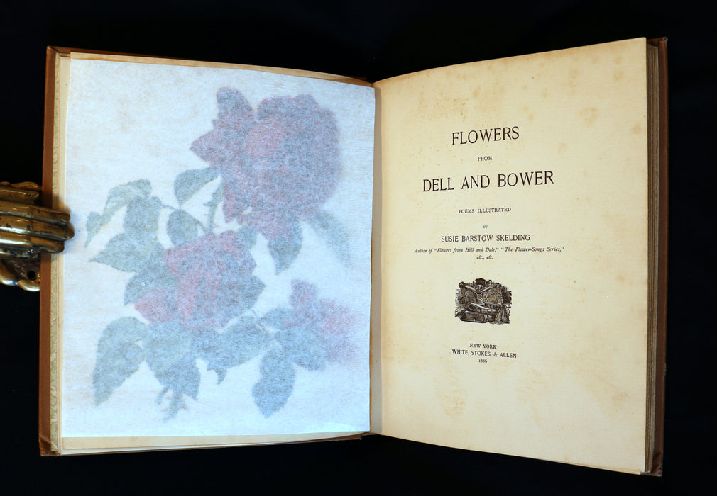 1886 Rare Victorian 1stED - FLOWERS FROM DELL AND BOWER, Poems Illustrated by Susie Barstow Skelding.