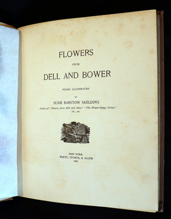 1886 Rare Victorian 1stED - FLOWERS FROM DELL AND BOWER, Poems Illustrated by Susie Barstow Skelding.