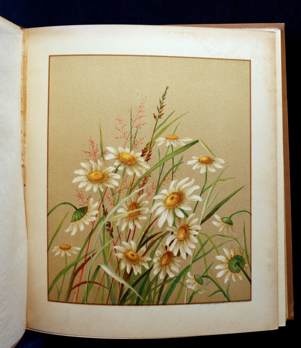 1886 Rare Victorian 1stED - FLOWERS FROM DELL AND BOWER, Poems Illustrated by Susie Barstow Skelding.