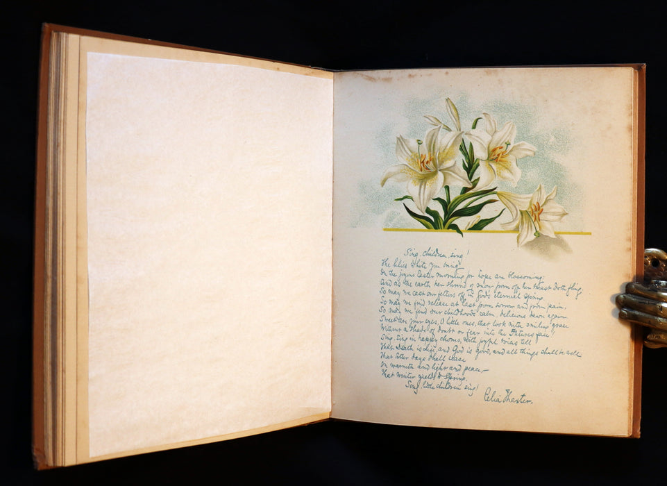 1886 Rare Victorian 1stED - FLOWERS FROM DELL AND BOWER, Poems Illustrated by Susie Barstow Skelding.