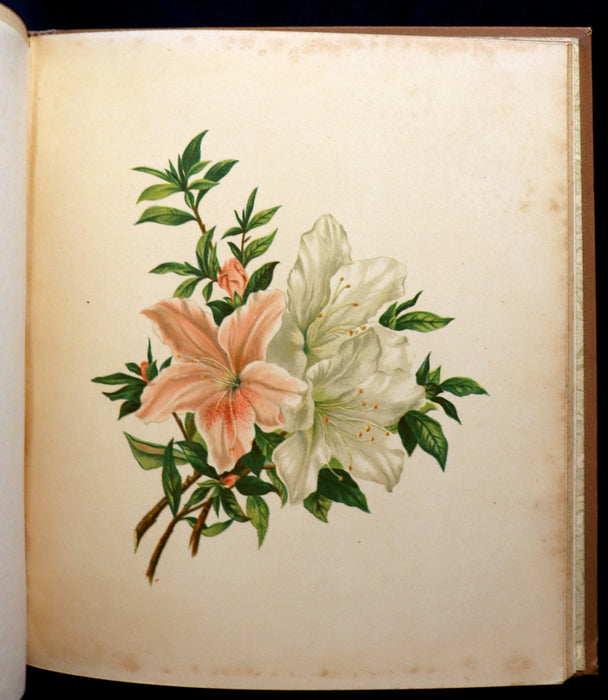 1886 Rare Victorian 1stED - FLOWERS FROM DELL AND BOWER, Poems Illustrated by Susie Barstow Skelding.