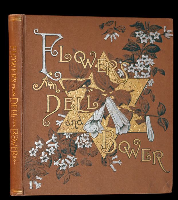 1886 Rare Victorian 1stED - FLOWERS FROM DELL AND BOWER, Poems Illustrated by Susie Barstow Skelding.