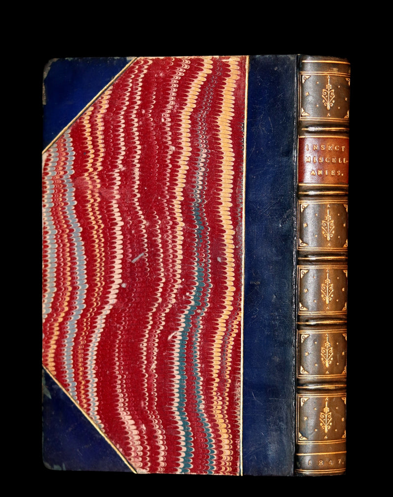 1847 Rare Victorian Entomology Book - Insect Miscellanies by Scottish naturalist James Rennie.