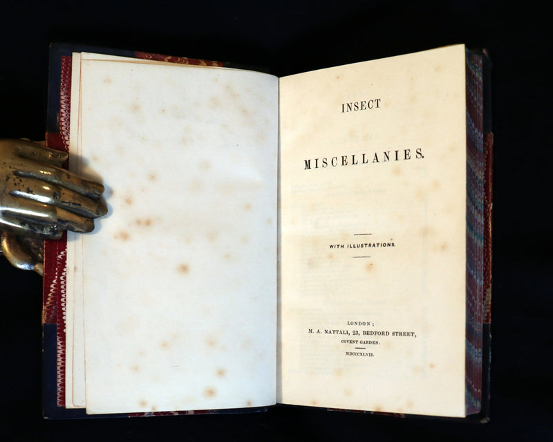 1847 Rare Victorian Entomology Book - Insect Miscellanies by Scottish naturalist James Rennie.