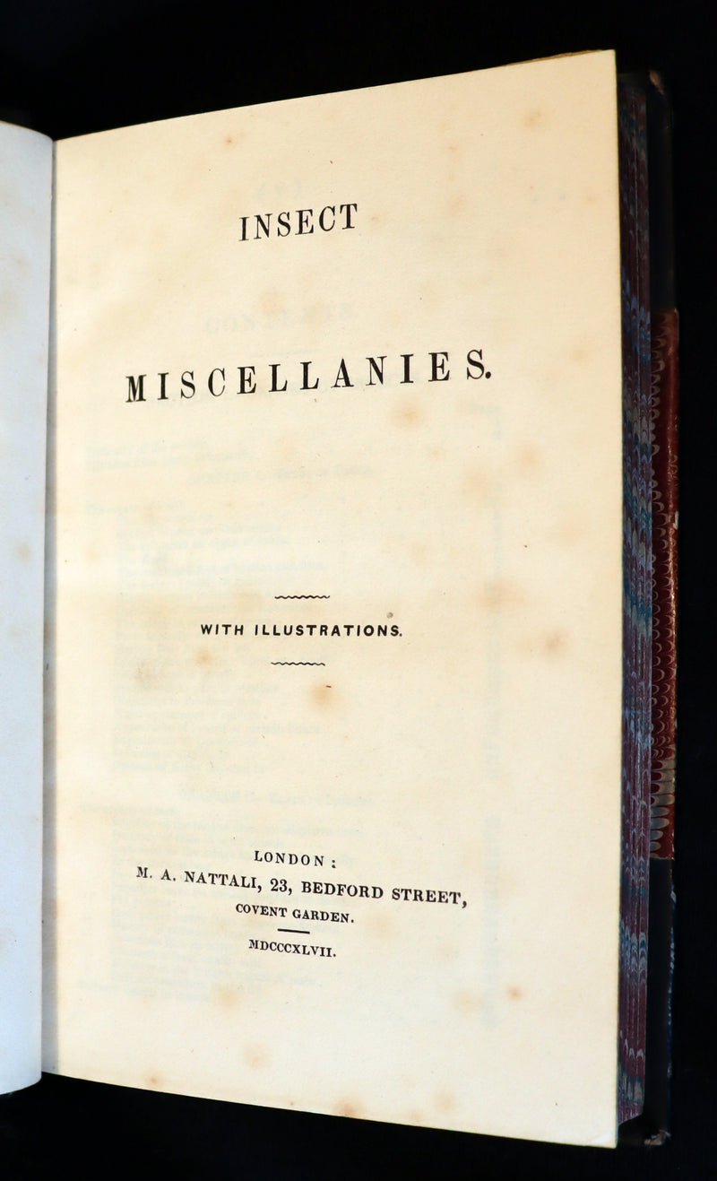 1847 Rare Victorian Entomology Book - Insect Miscellanies by Scottish naturalist James Rennie.