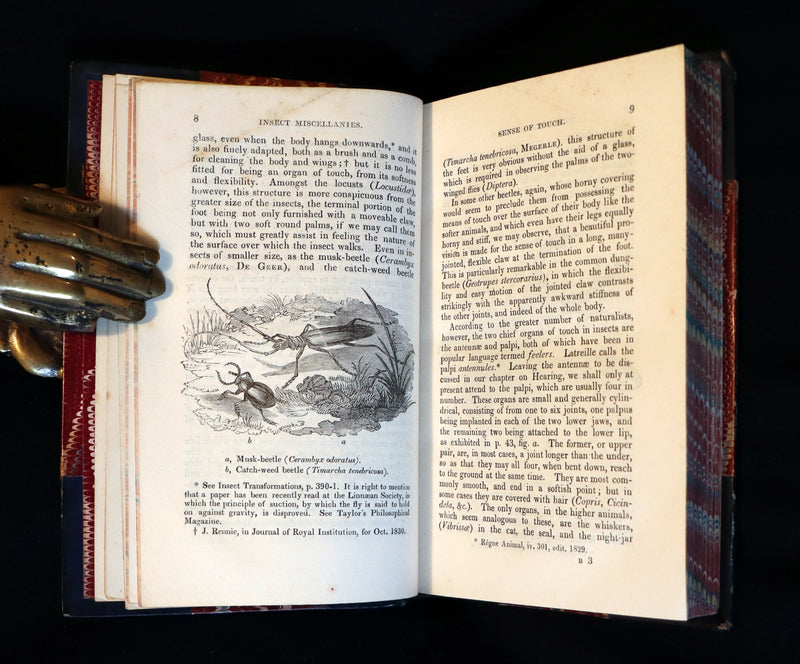 1847 Rare Victorian Entomology Book - Insect Miscellanies by Scottish naturalist James Rennie.