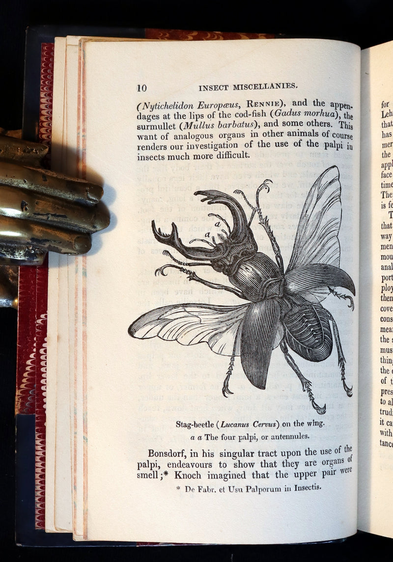 1847 Rare Victorian Entomology Book - Insect Miscellanies by Scottish naturalist James Rennie.