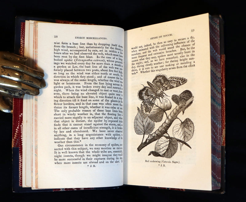 1847 Rare Victorian Entomology Book - Insect Miscellanies by Scottish naturalist James Rennie.