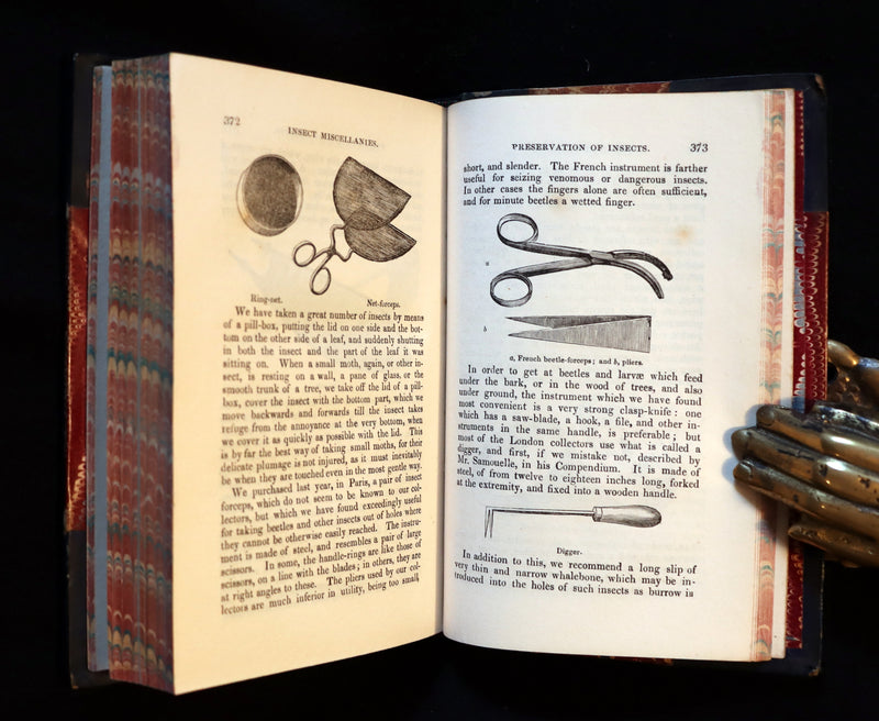 1847 Rare Victorian Entomology Book - Insect Miscellanies by Scottish naturalist James Rennie.