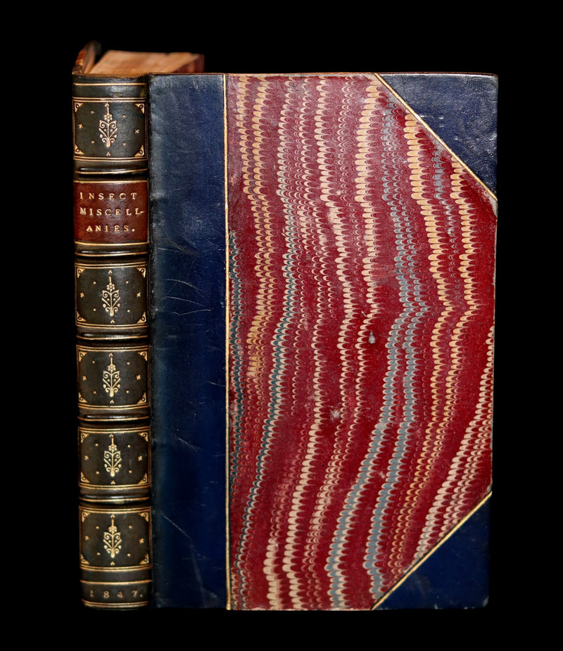 1847 Rare Victorian Entomology Book - Insect Miscellanies by Scottish naturalist James Rennie.