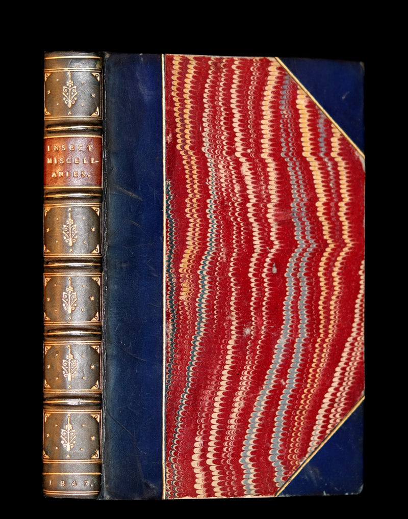 1847 Rare Victorian Entomology Book - Insect Miscellanies by Scottish naturalist James Rennie.