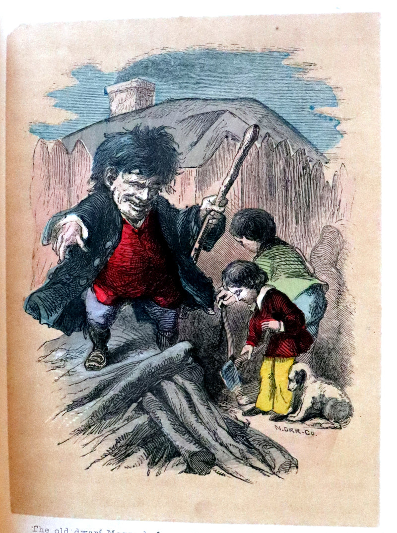 1859 Scarce Book - The FAIRIES IN AMERICA by Spencer W. Cone. Illustrated.