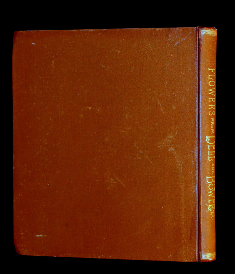 1886 Rare Victorian First Edition - FLOWERS FROM DELL AND BOWER Illustrated by Susie Barstow Skelding.