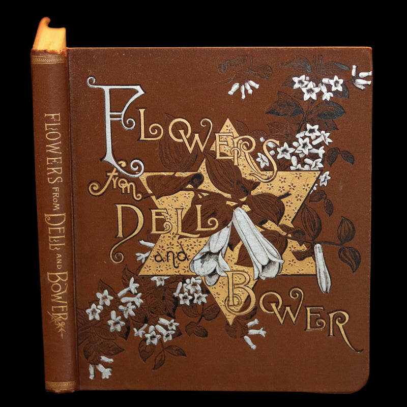 1886 Rare Victorian First Edition - FLOWERS FROM DELL AND BOWER Illustrated by Susie Barstow Skelding.