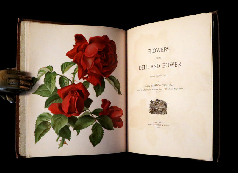 1886 Rare Victorian First Edition - FLOWERS FROM DELL AND BOWER Illustrated by Susie Barstow Skelding.