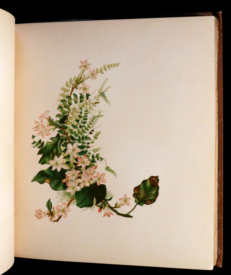 1886 Rare Victorian First Edition - FLOWERS FROM DELL AND BOWER Illustrated by Susie Barstow Skelding.