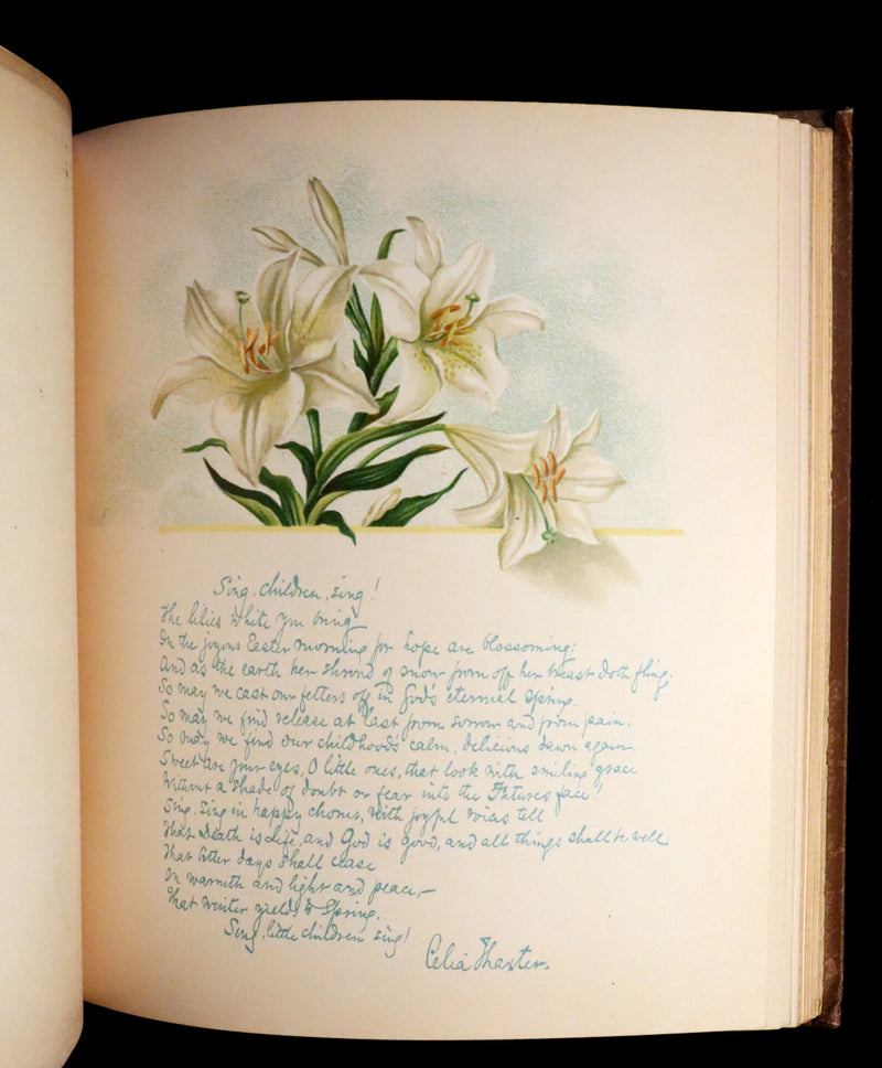 1886 Rare Victorian First Edition - FLOWERS FROM DELL AND BOWER Illustrated by Susie Barstow Skelding.