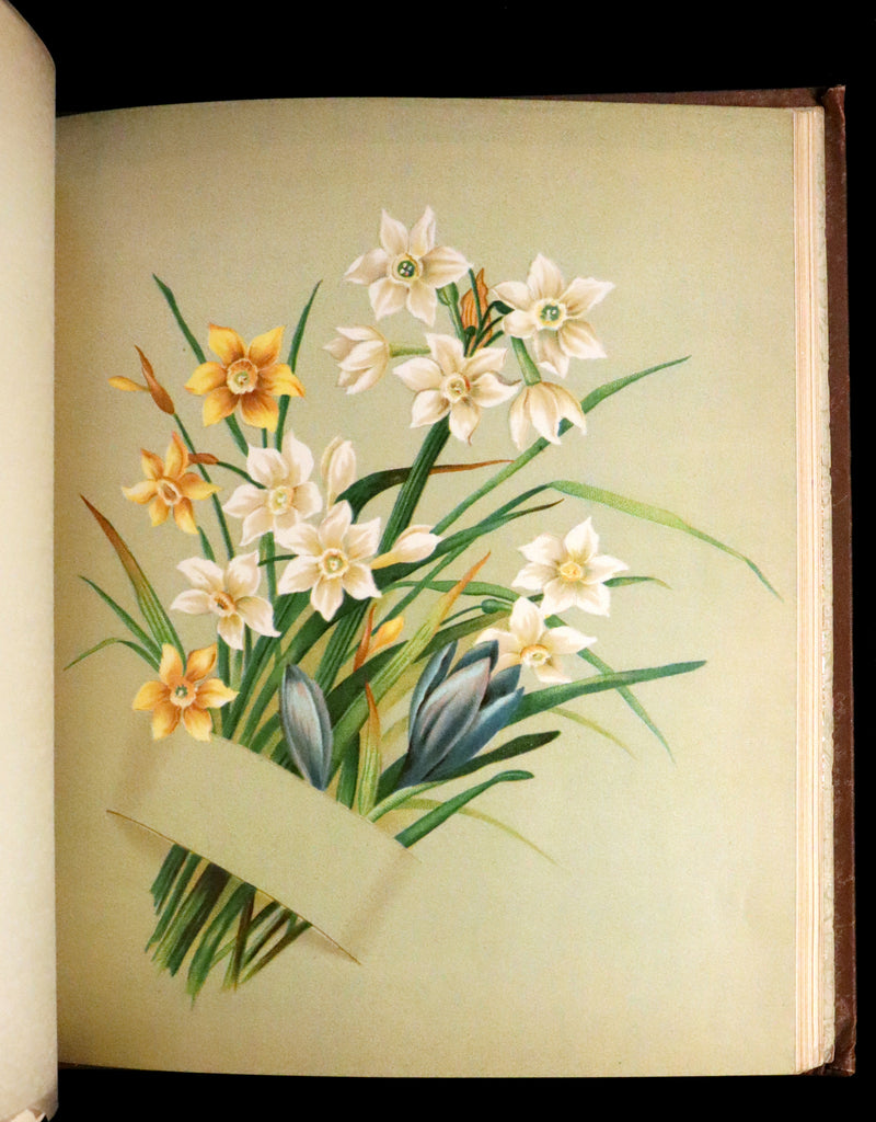 1886 Rare Victorian First Edition - FLOWERS FROM DELL AND BOWER Illustrated by Susie Barstow Skelding.