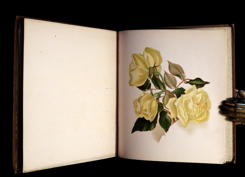 1886 Rare Victorian First Edition - FLOWERS FROM DELL AND BOWER Illustrated by Susie Barstow Skelding.