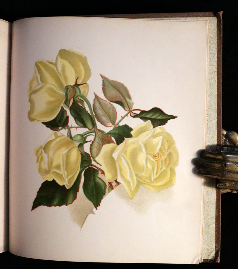 1886 Rare Victorian First Edition - FLOWERS FROM DELL AND BOWER Illustrated by Susie Barstow Skelding.