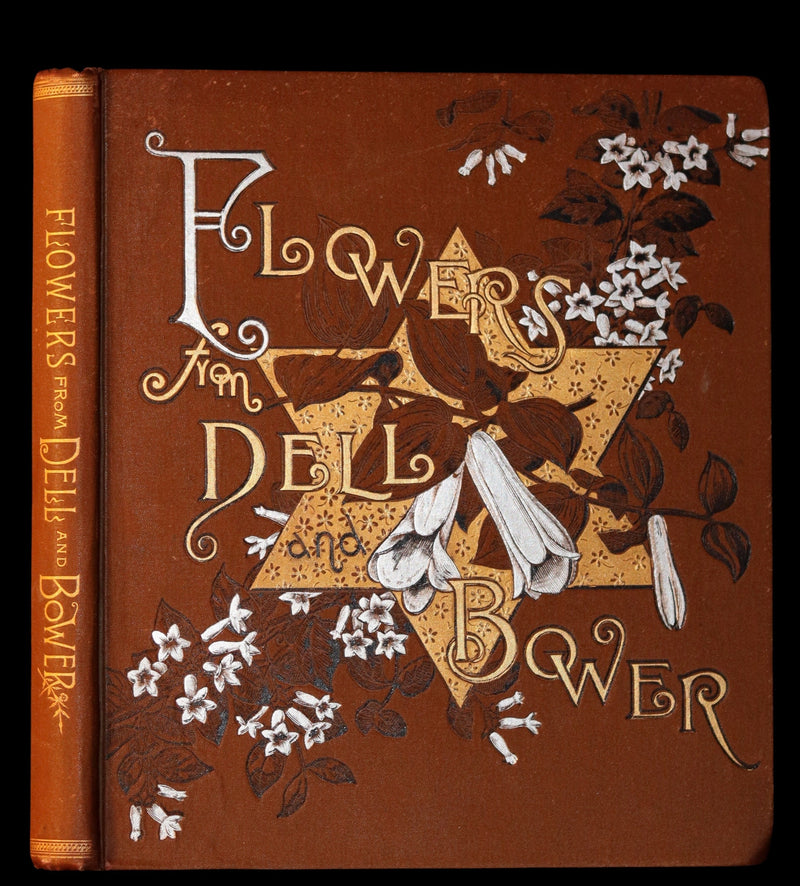 1886 Rare Victorian First Edition - FLOWERS FROM DELL AND BOWER Illustrated by Susie Barstow Skelding.