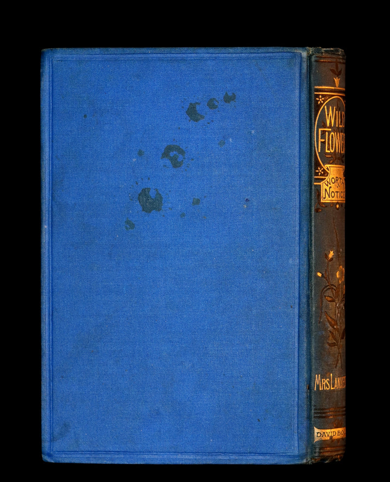 1879 Rare Victorian Book ~ WILD FLOWERS Worth Notice by British Botanist Phoebe Lankester. Color Illustrated.