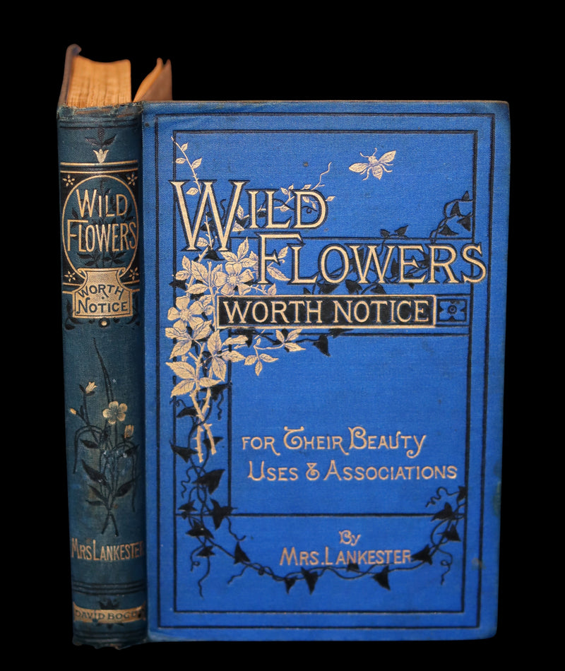 1879 Rare Victorian Book ~ WILD FLOWERS Worth Notice by British Botanist Phoebe Lankester. Color Illustrated.