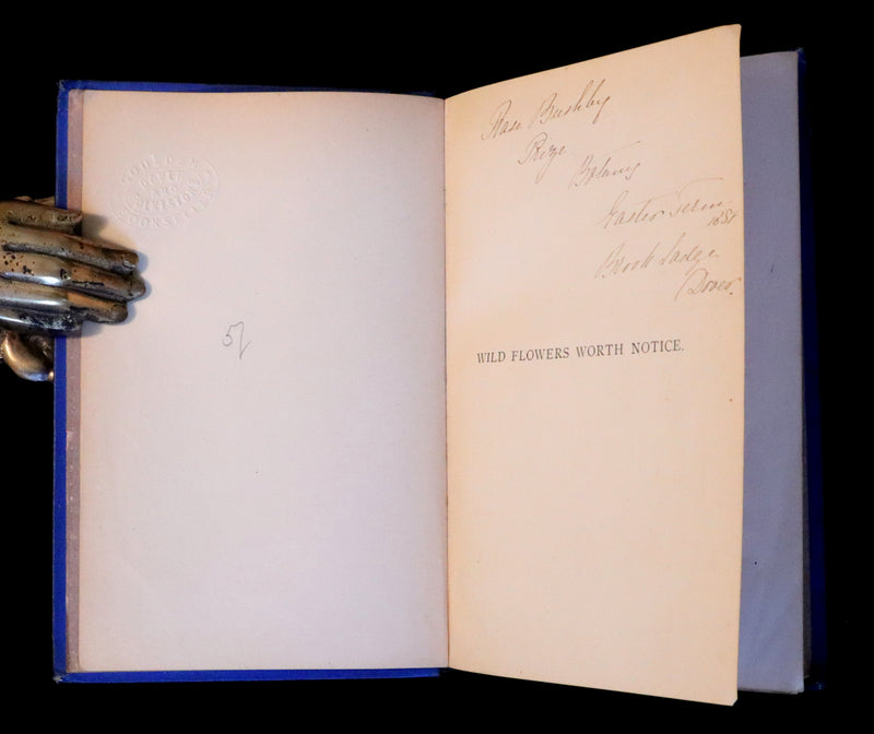 1879 Rare Victorian Book ~ WILD FLOWERS Worth Notice by British Botanist Phoebe Lankester. Color Illustrated.