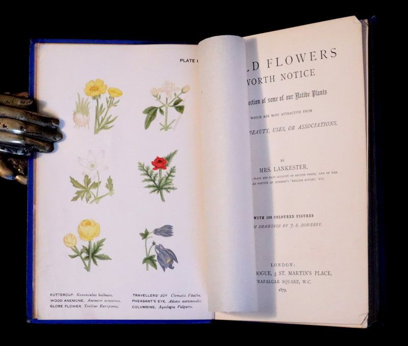 1879 Rare Victorian Book ~ WILD FLOWERS Worth Notice by British Botanist Phoebe Lankester. Color Illustrated.