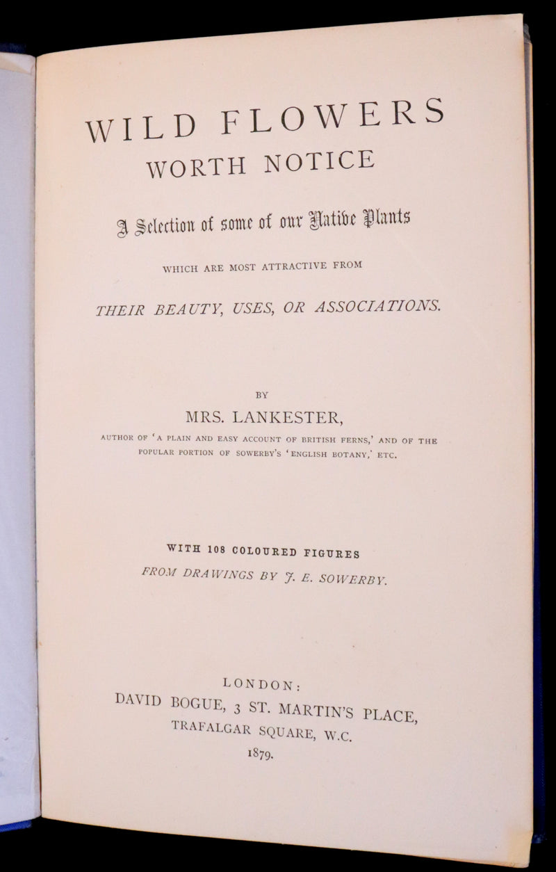 1879 Rare Victorian Book ~ WILD FLOWERS Worth Notice by British Botanist Phoebe Lankester. Color Illustrated.